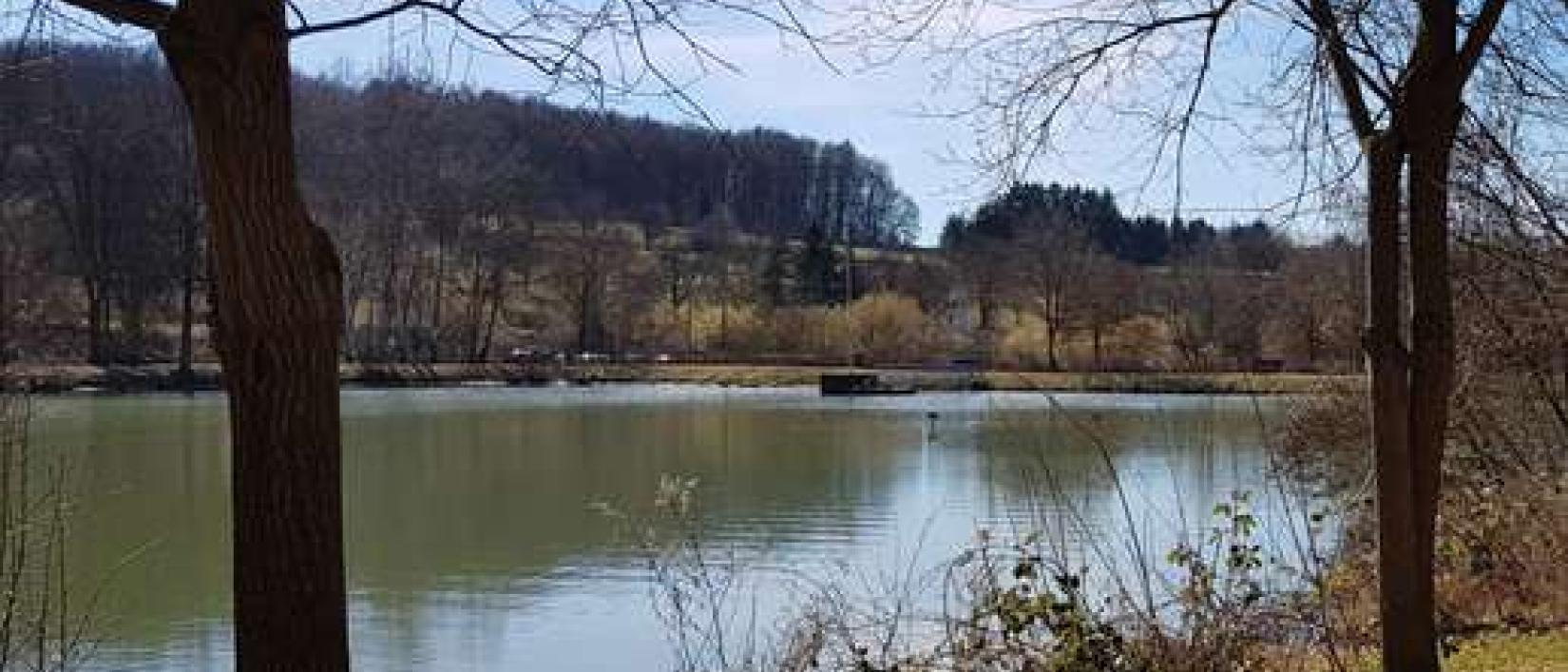 Hoofdfoto Ommersheimer Weiher