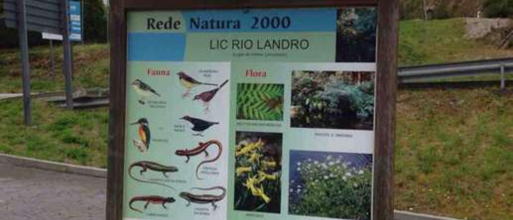 Hoofdfoto Area de Ourol