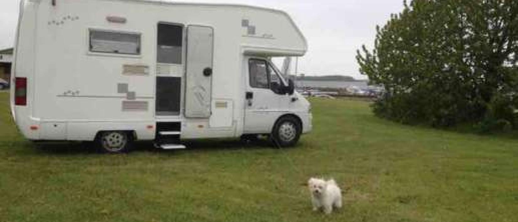 Hoofdfoto Hvalpsund Autocamperplads