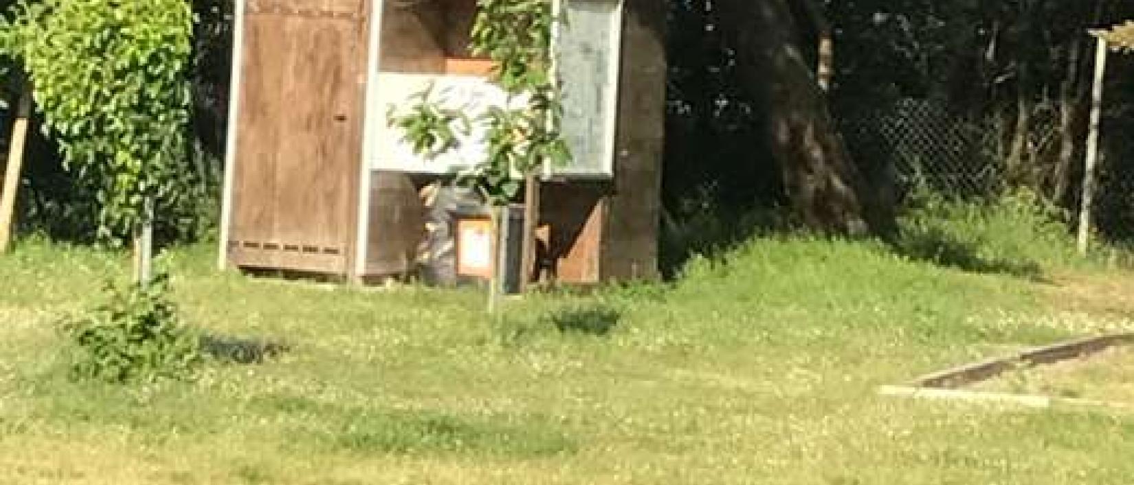 Hoofdfoto Aire de Camping-Car Au Paradis du Gois