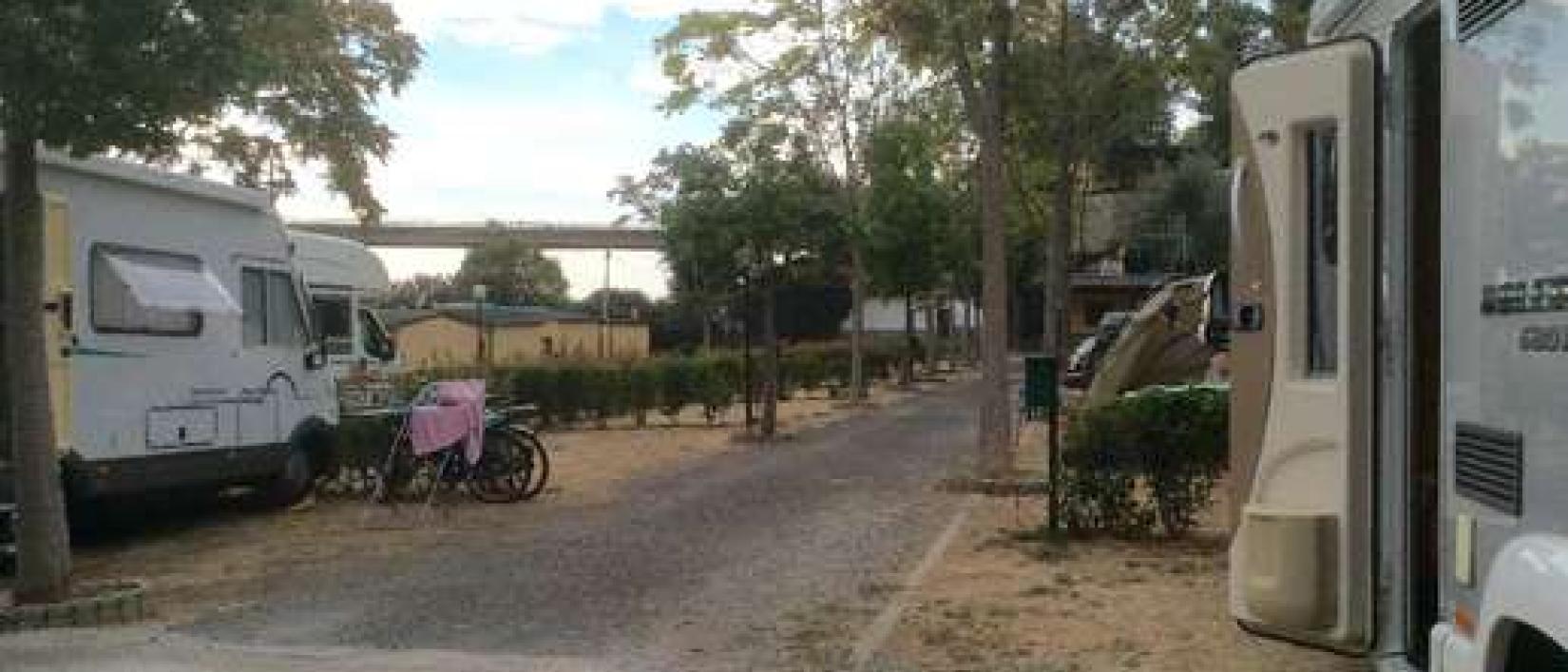Hoofdfoto Area di Camping Il Frantoio