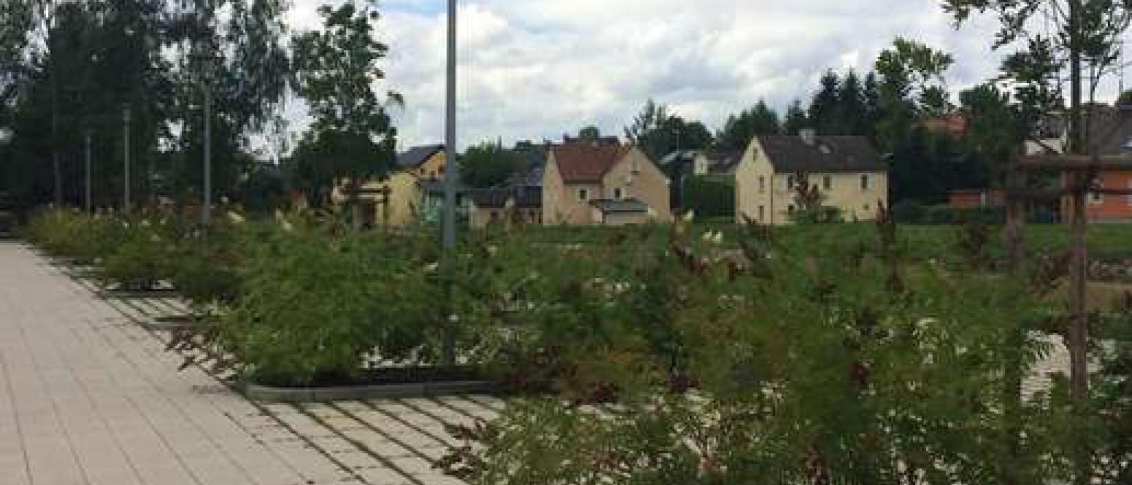 Hoofdfoto Stellplatz Am Summa-Park