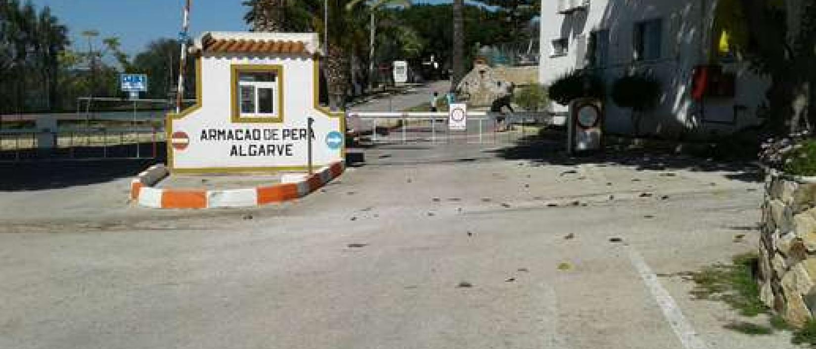 Hoofdfoto Camping Canelas