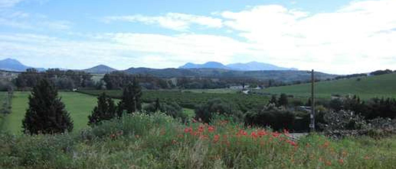 Hoofdfoto Cortijo Sambana