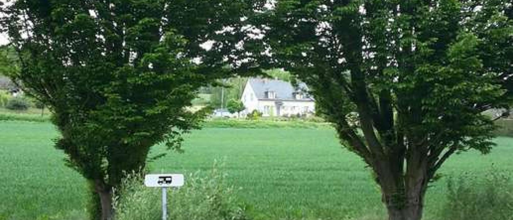 Hoofdfoto Aire de Camping-Cars Le Thoureil