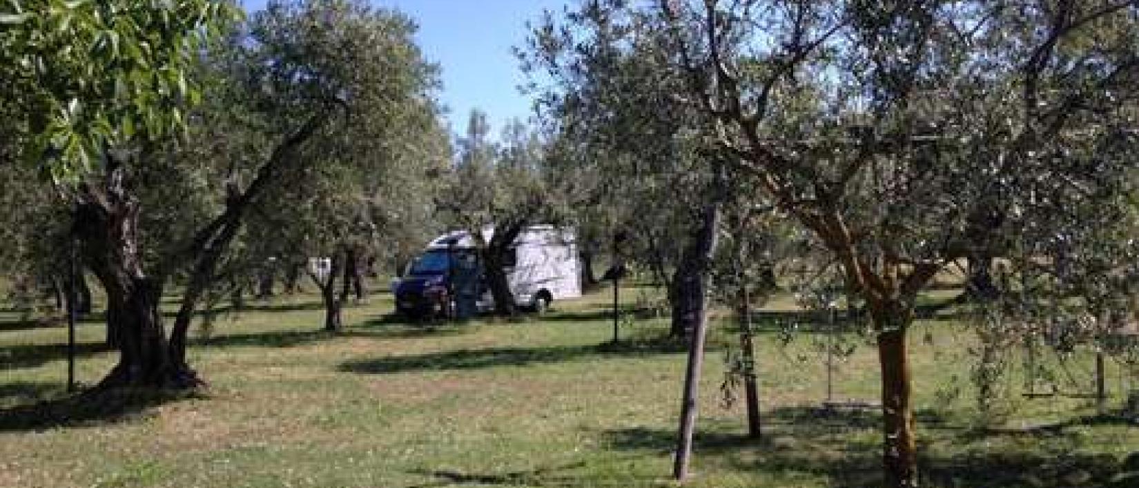 Hoofdfoto Agricampeggio Monterotondo