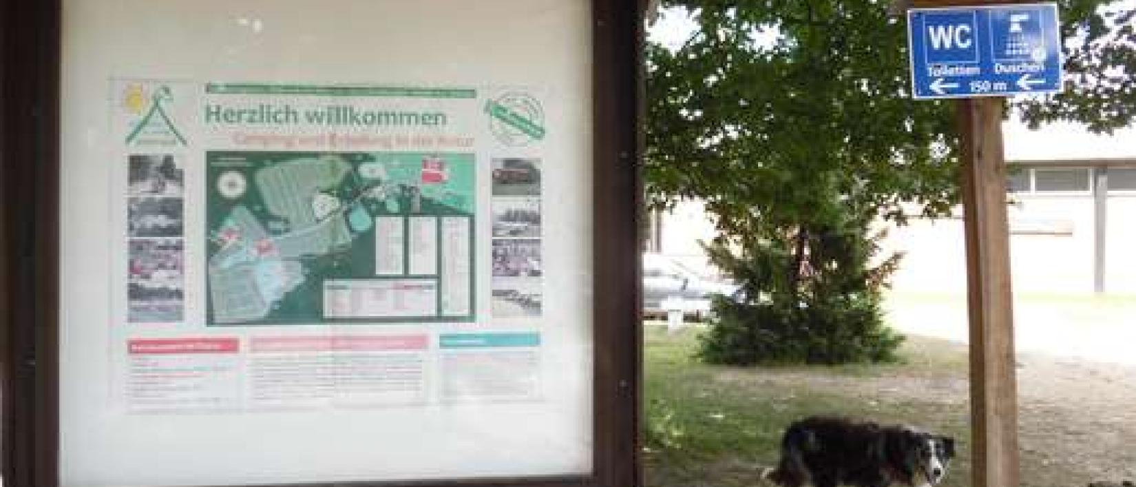Hoofdfoto Camping Imbrock