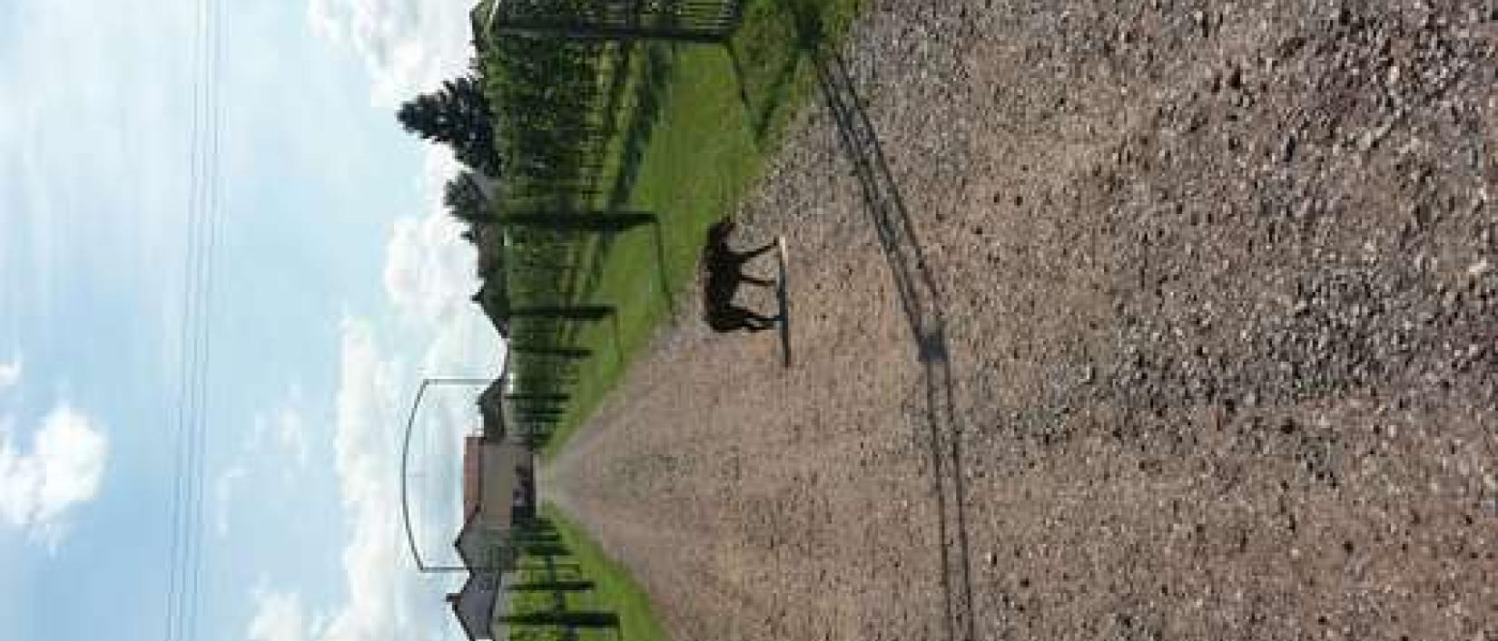 Hoofdfoto Weingut Fitz-Schneider