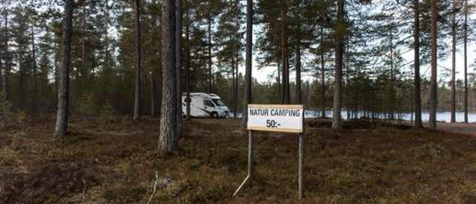 Hoofdfoto Natur Camping Gävunda