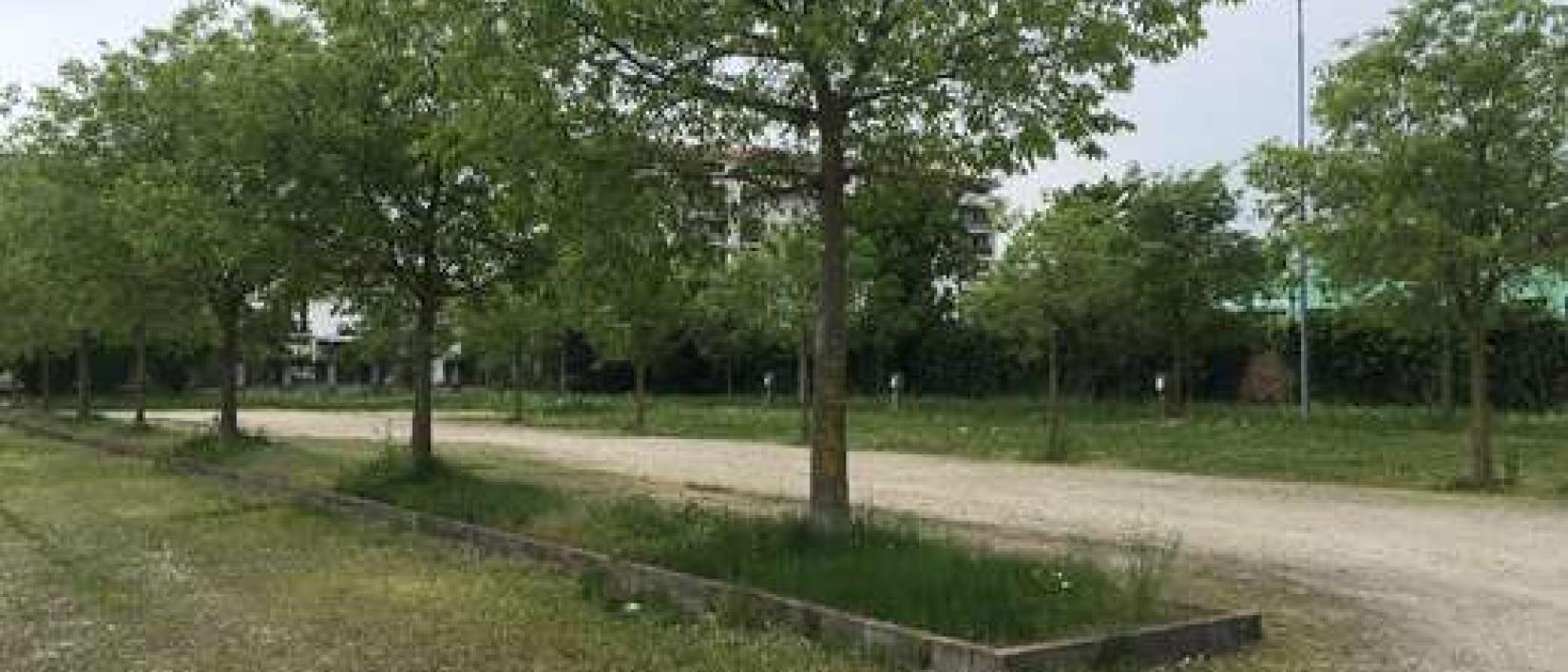 Hoofdfoto Area Camper Pinerolo