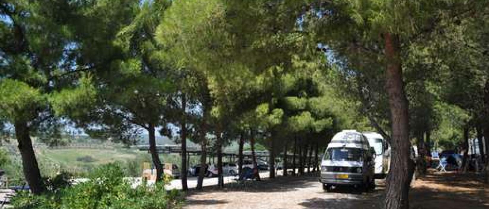 Hoofdfoto Agriturismo Le Rondini di San Bartolo