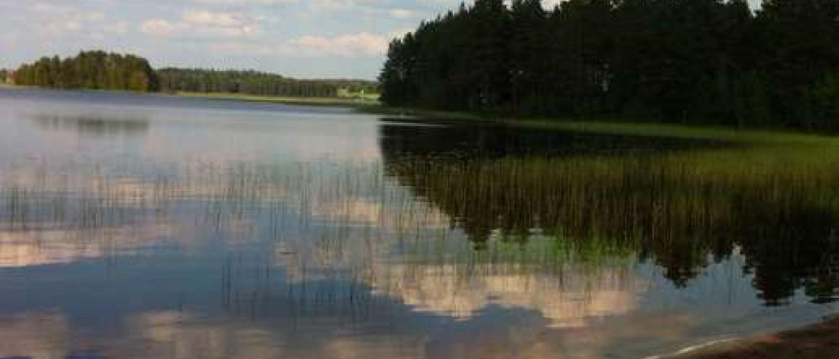 Hoofdfoto Haukkajärvi