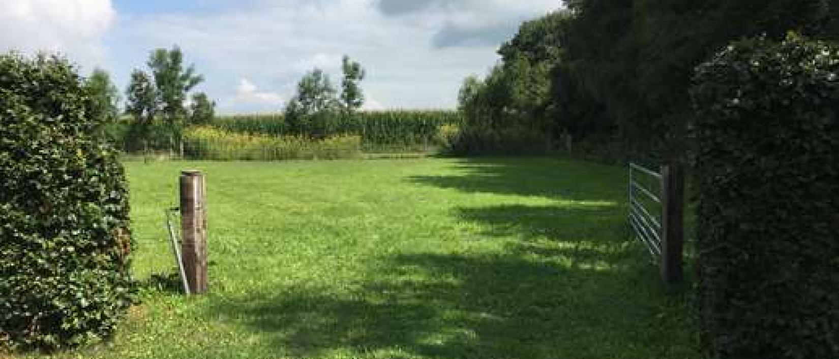 Hoofdfoto Camperplaats bij camping Driehuis