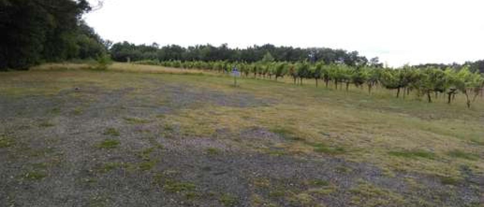 Hoofdfoto Chateau Les Grands Thibauds