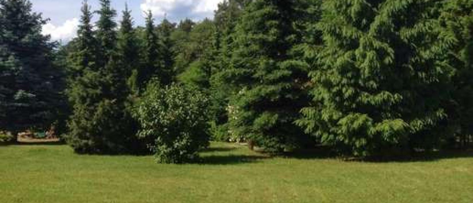 Hoofdfoto Stellplatz Radinkendorf
