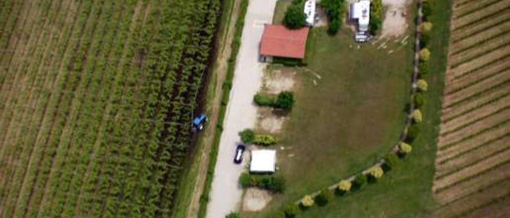 Hoofdfoto Agriturismo La Vigna
