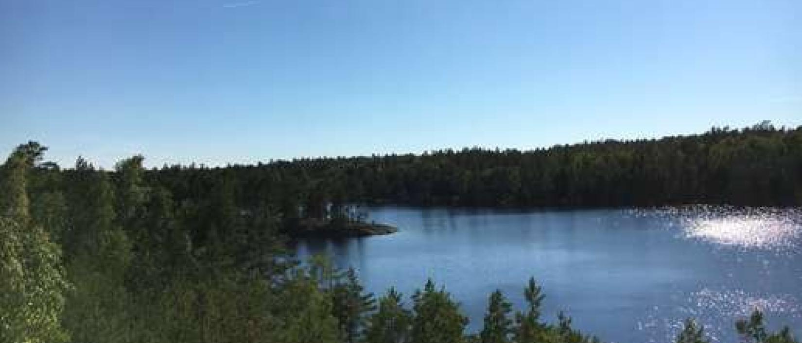 Hoofdfoto Sörknatten Naturreservat