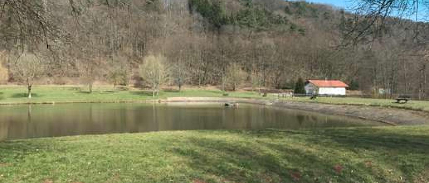 Hoofdfoto Silz am See