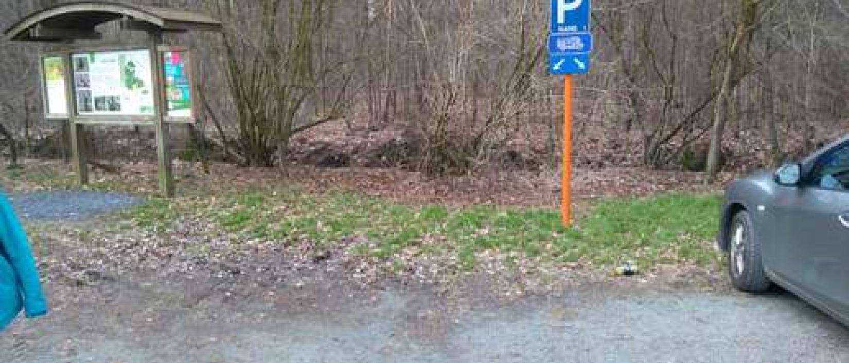 Hoofdfoto Parking Hooggoed Bos