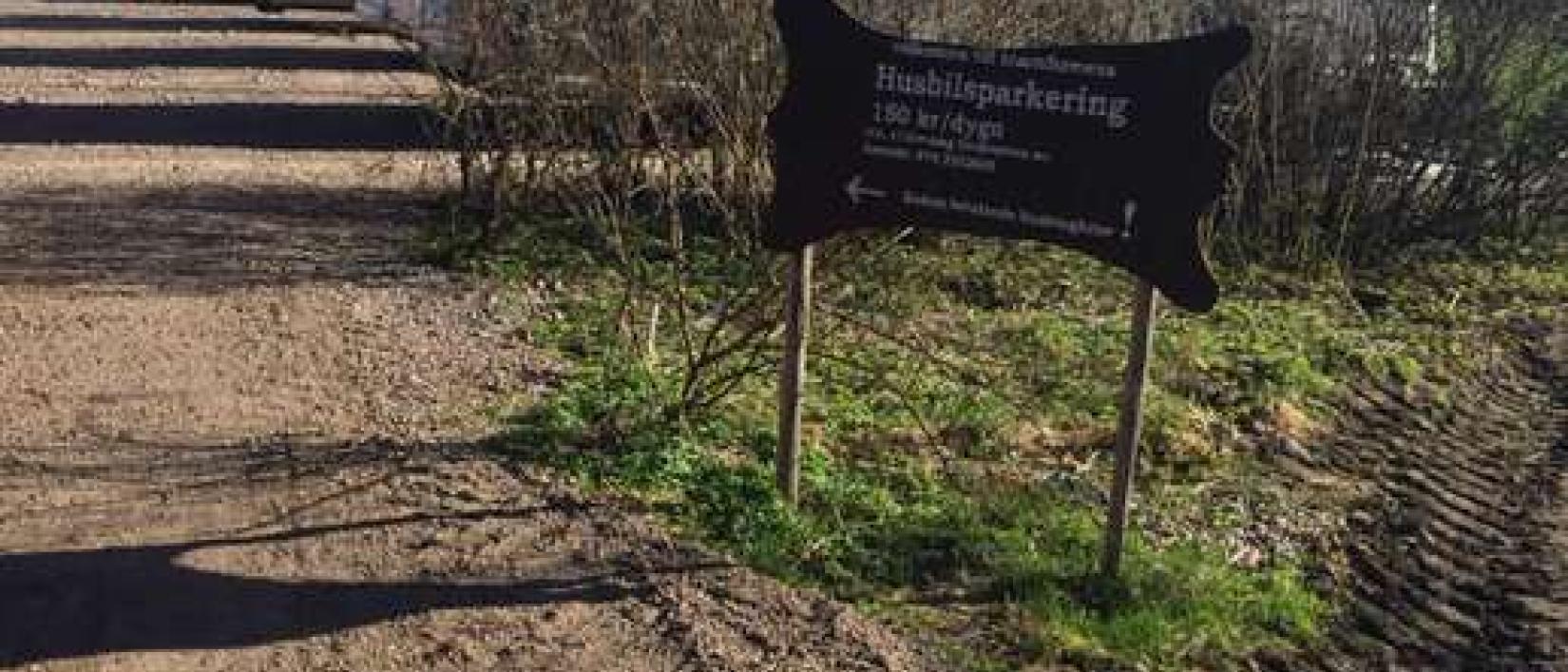 Hoofdfoto Bisonfarmen i Gate