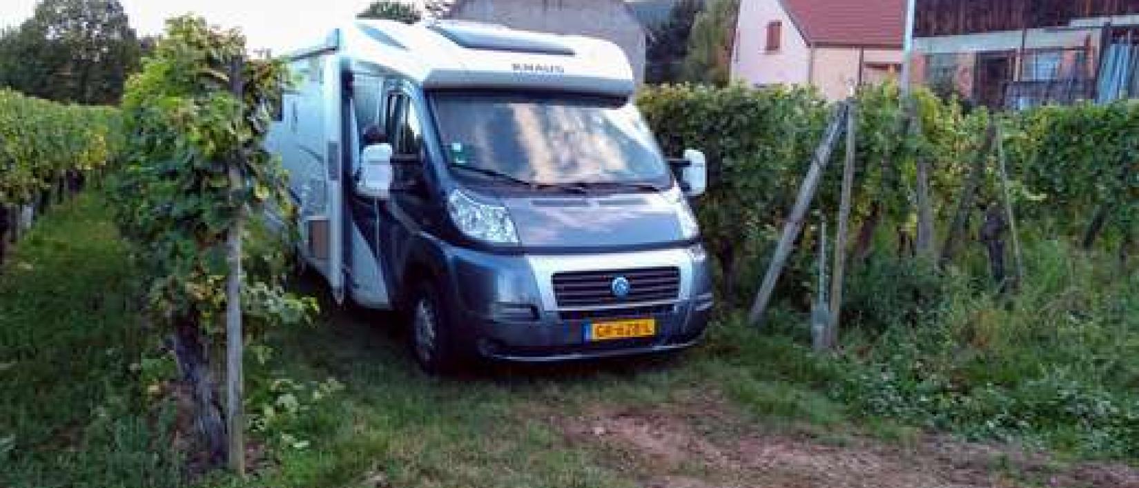 Hoofdfoto Domaine Marzolf scea Sebastien