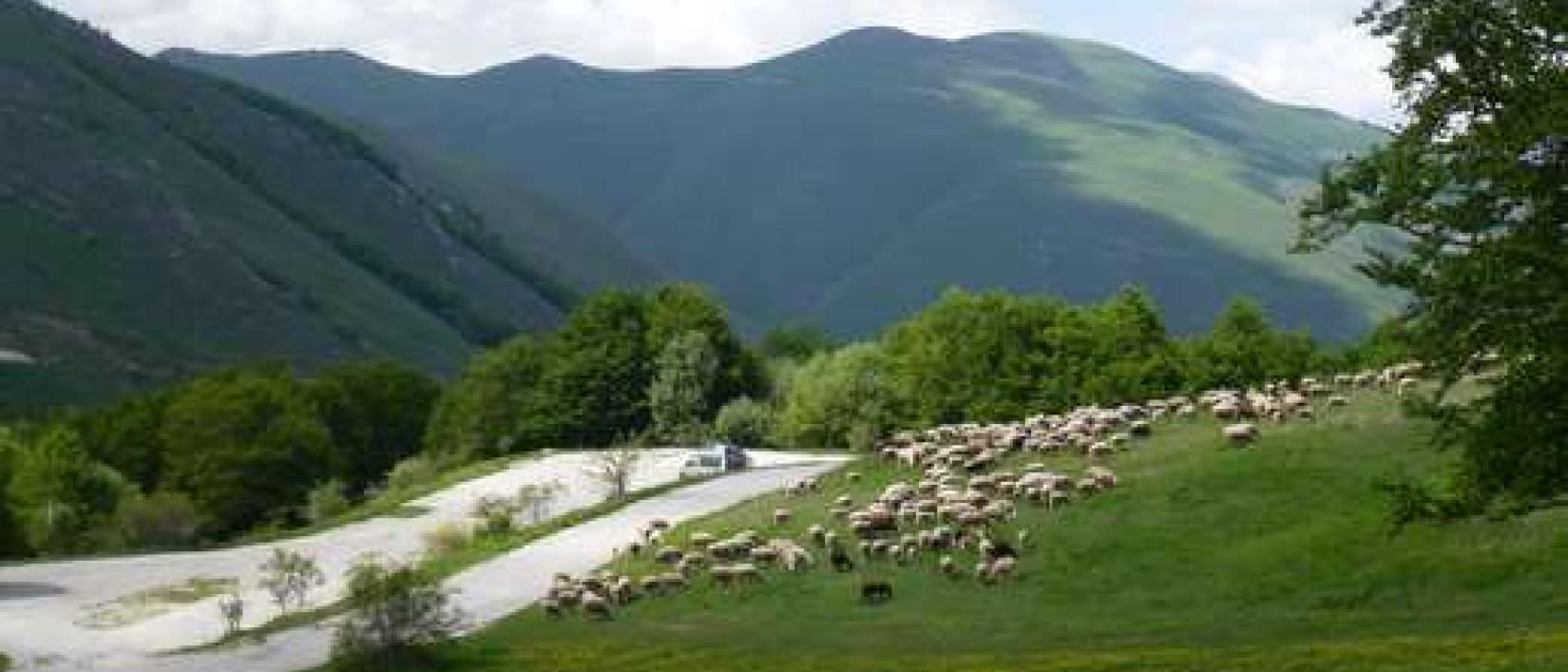 Hoofdfoto Parcheggio Monte Cappellata