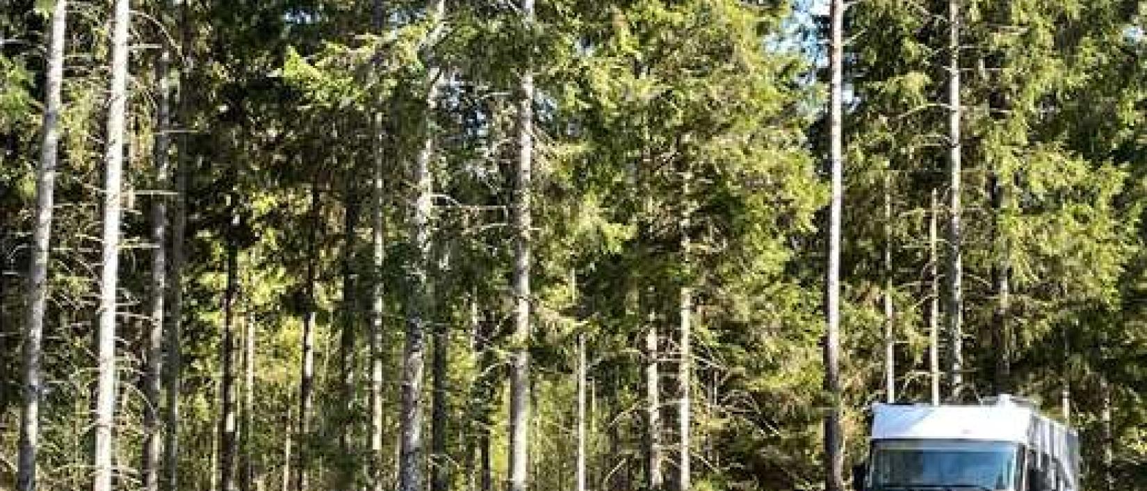 Hoofdfoto Hemsjö