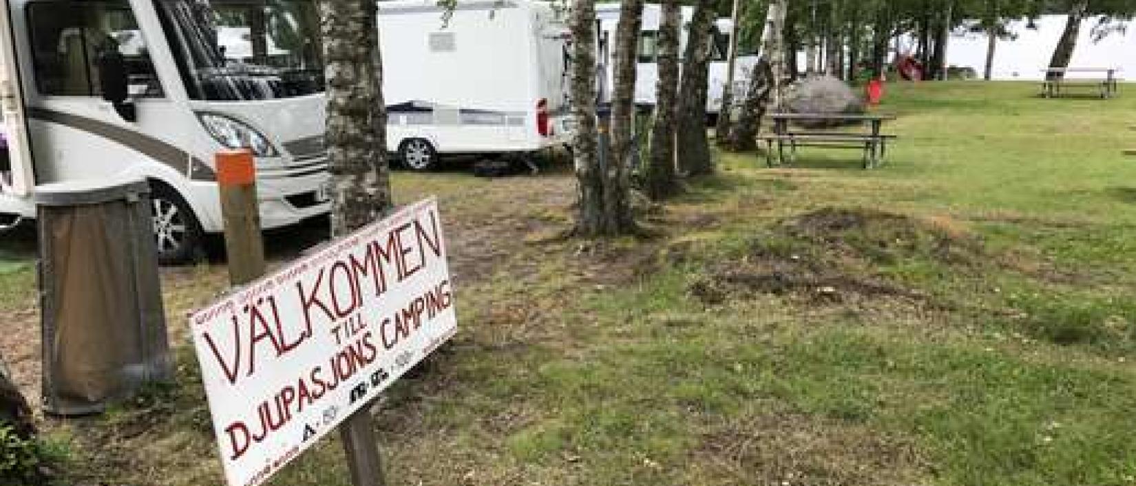 Hoofdfoto Djurpasjöns Naturcamping