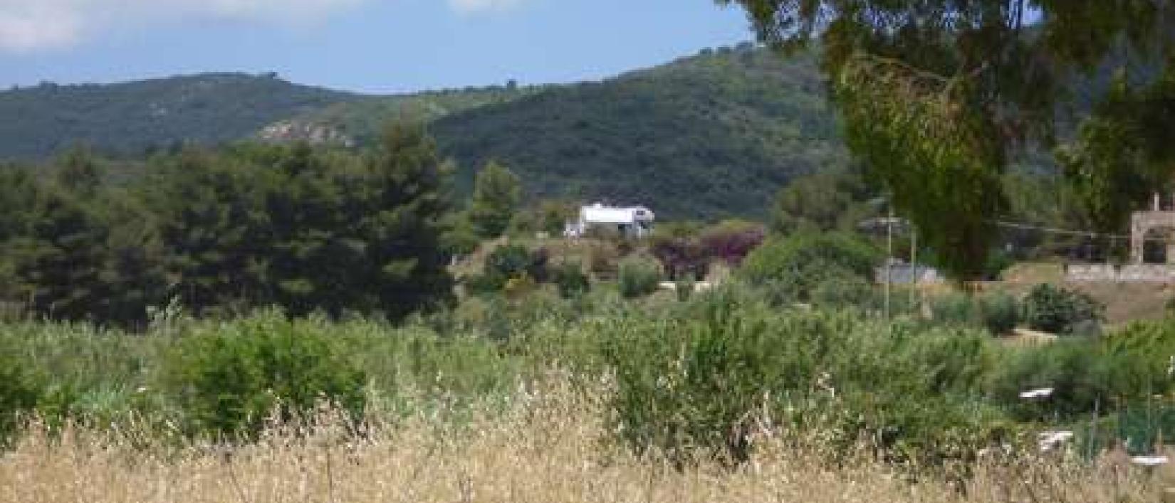 Hoofdfoto Agriturismo Orti di Mare