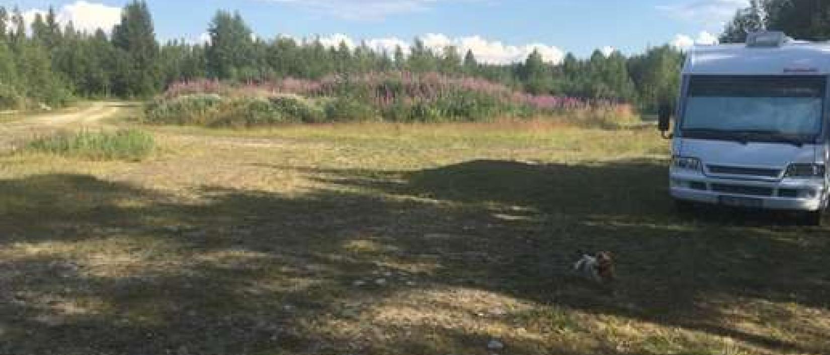 Hoofdfoto Vakkervika