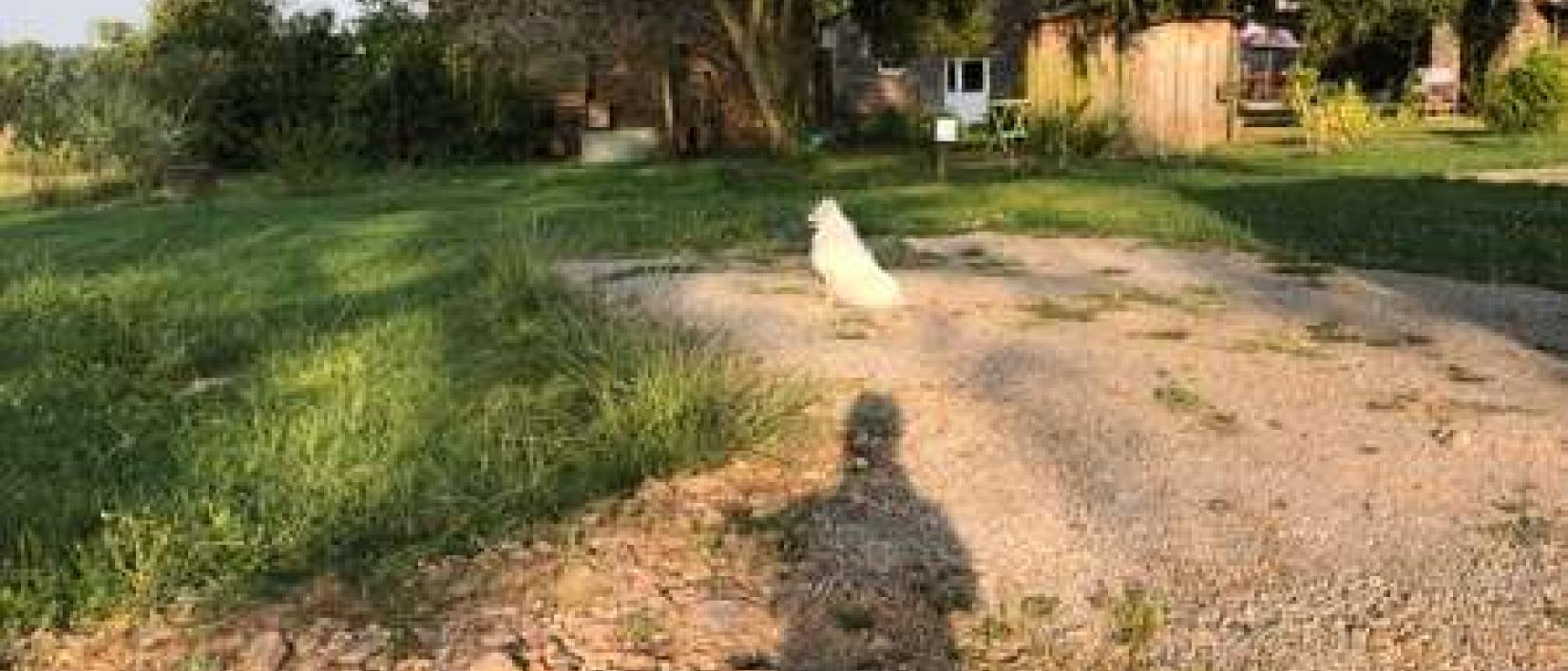 Hoofdfoto Camping A la ferme la Brouillerie