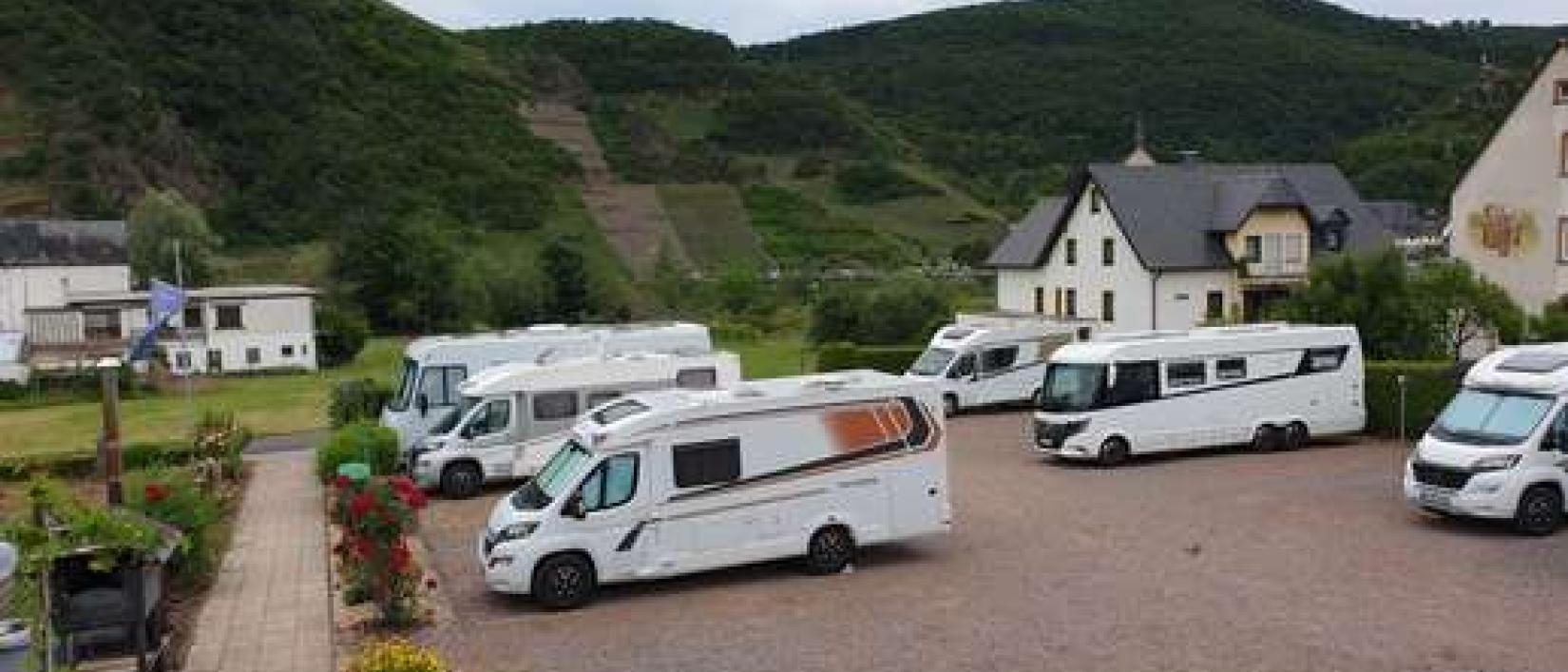Hoofdfoto Wijndomein Loosen