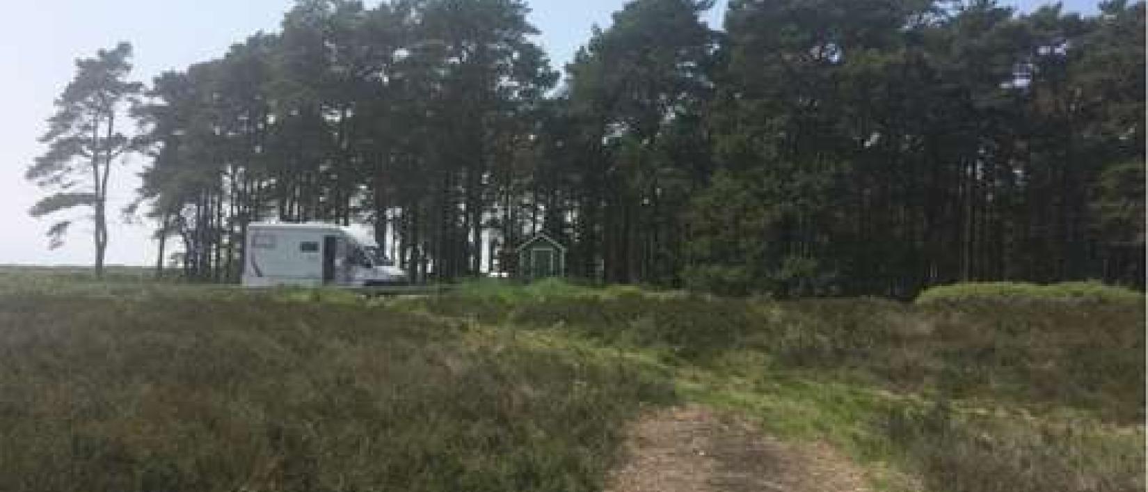 Hoofdfoto Ljungskogen