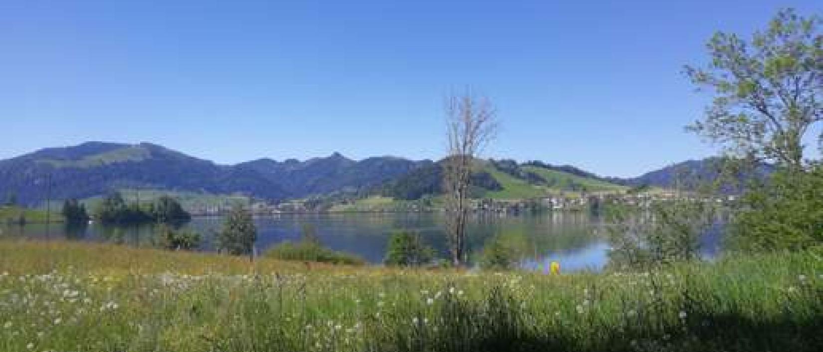 Hoofdfoto Camping Gruene Aff