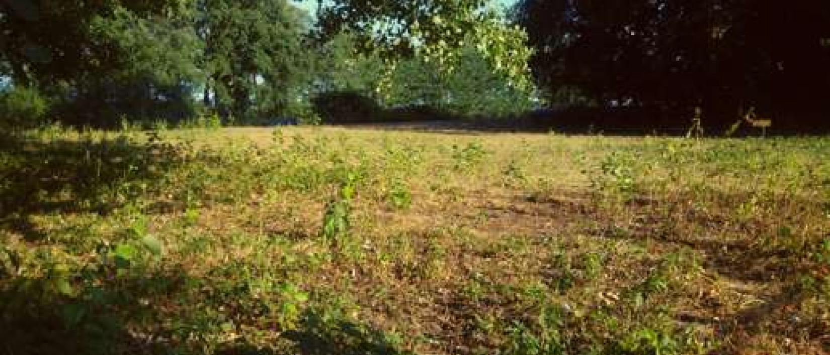 Hoofdfoto Camperplaats Rust en Stilte