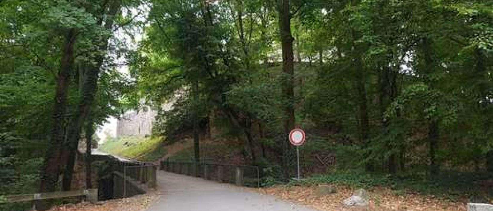 Hoofdfoto Parking Burgruine Schloss Auerbach