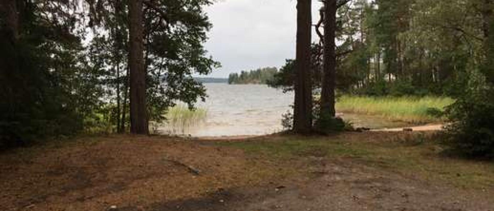 Hoofdfoto Strandsågen