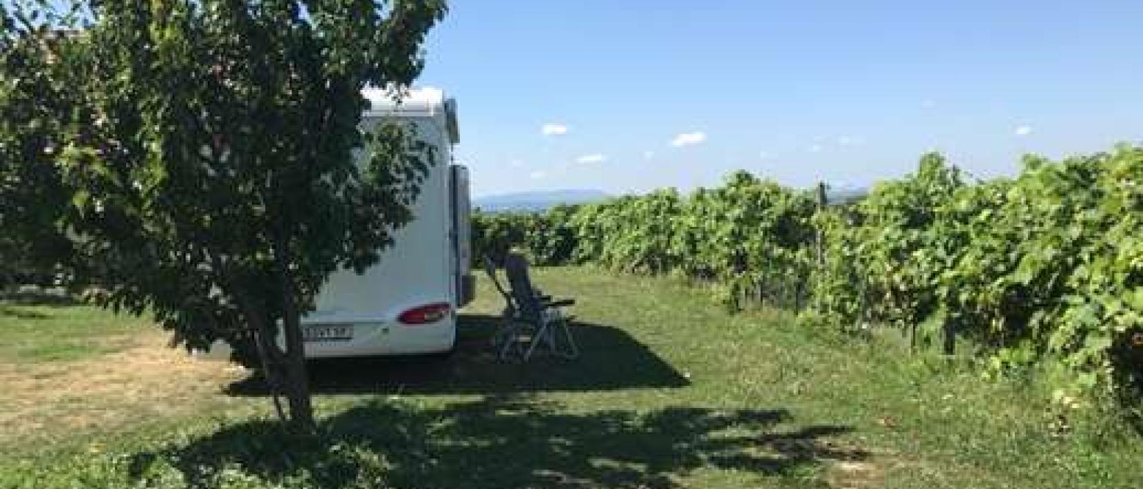 Hoofdfoto Püklavec