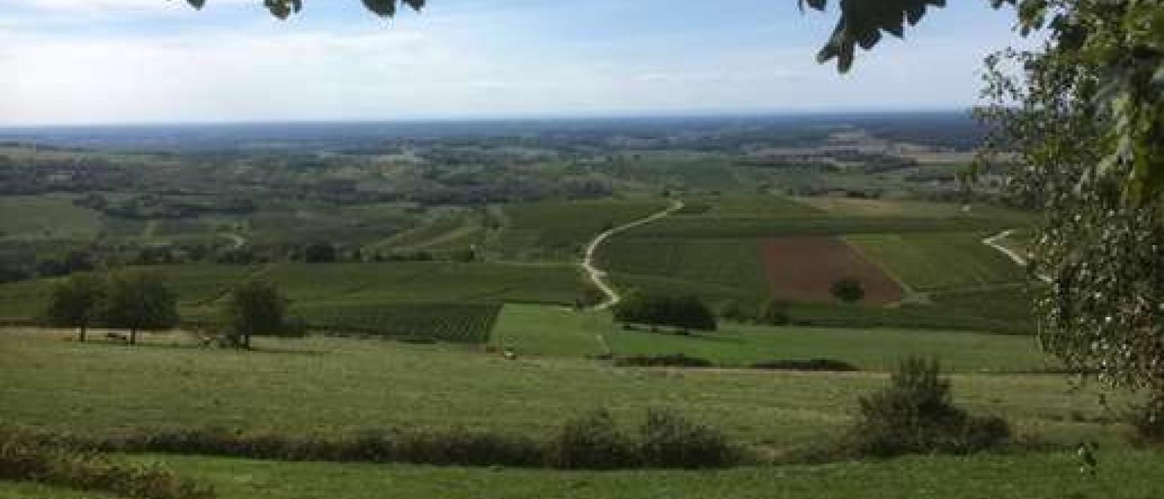 Hoofdfoto Le Vignoble de Pupillin