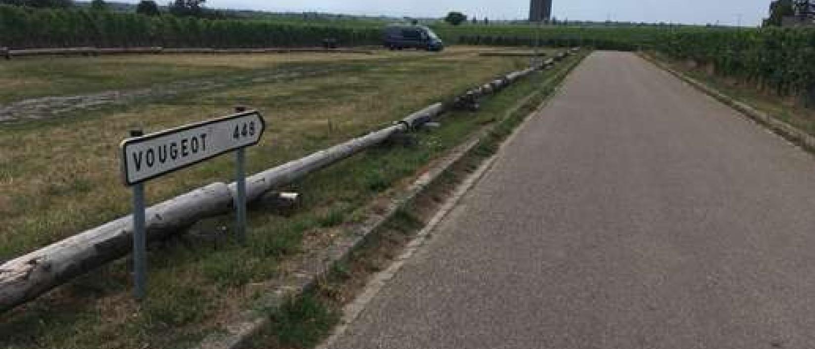 Hoofdfoto Parking Rhodt unter Rietburg