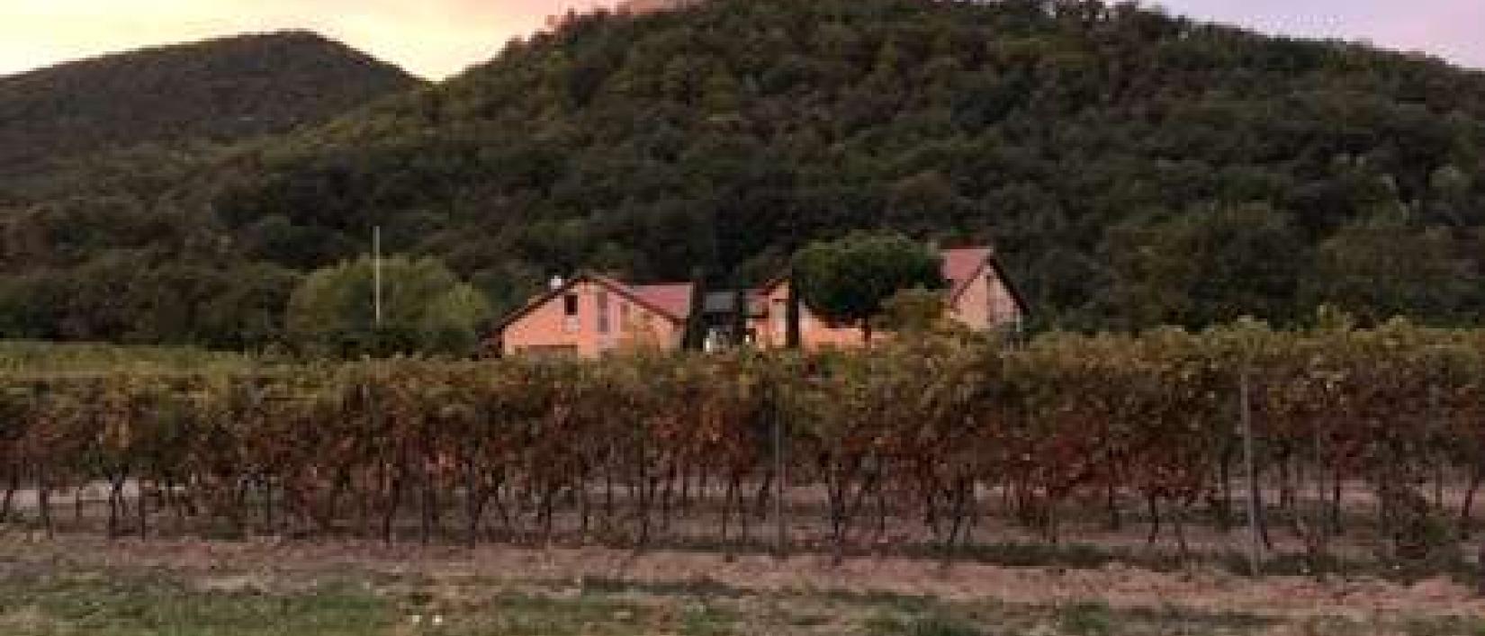 Hoofdfoto Parkplatz Andergasse