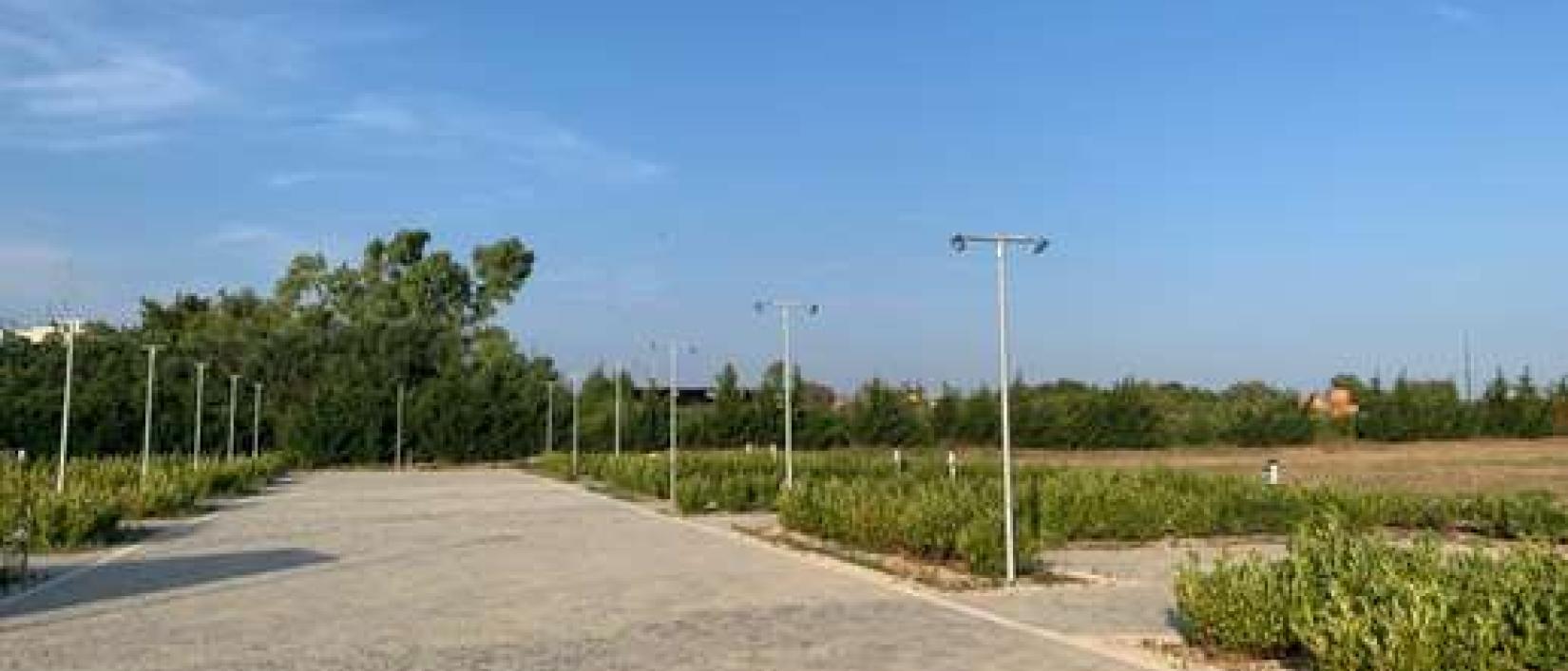 Hoofdfoto Agroturismo Tenuta Don Giovanni