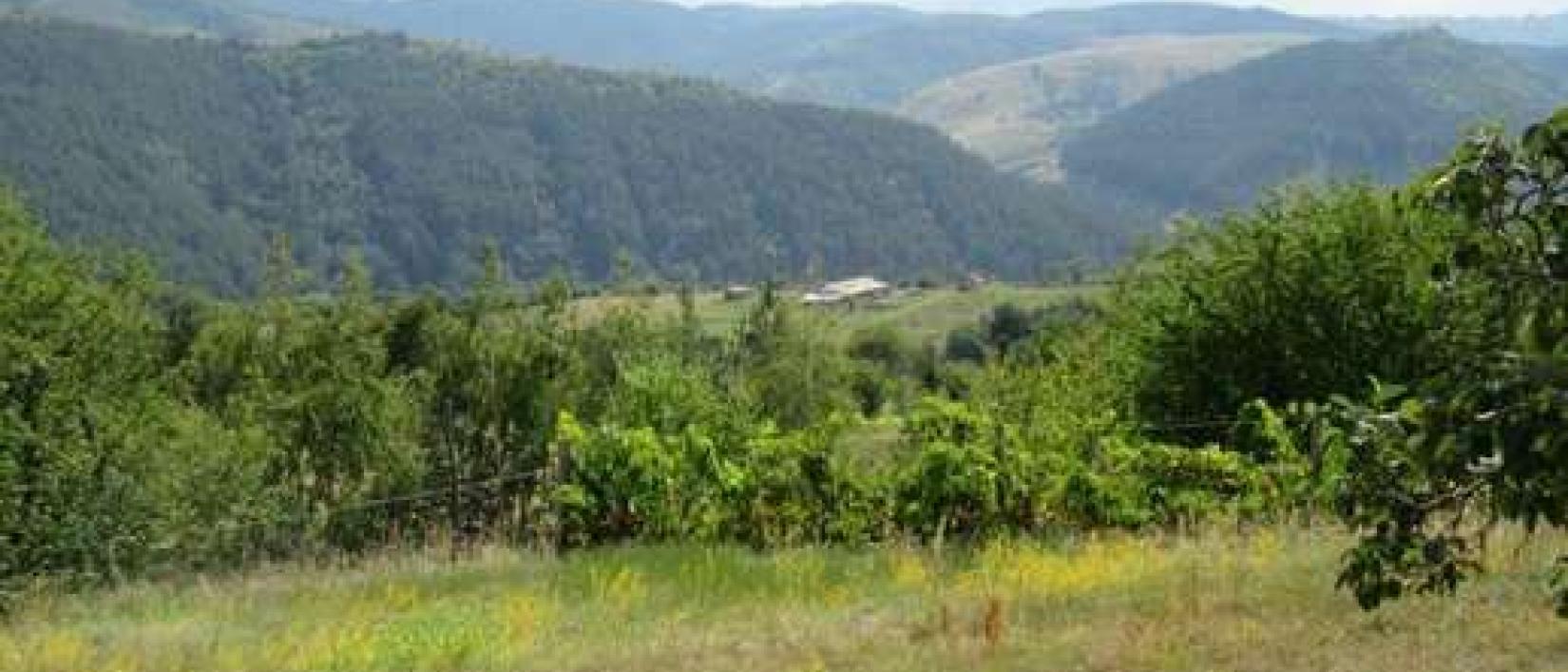 Hoofdfoto Eco Komplex Klisura