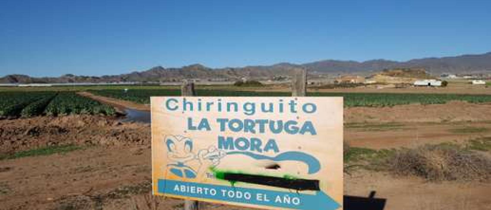 Hoofdfoto Parking Tortuga Mora
