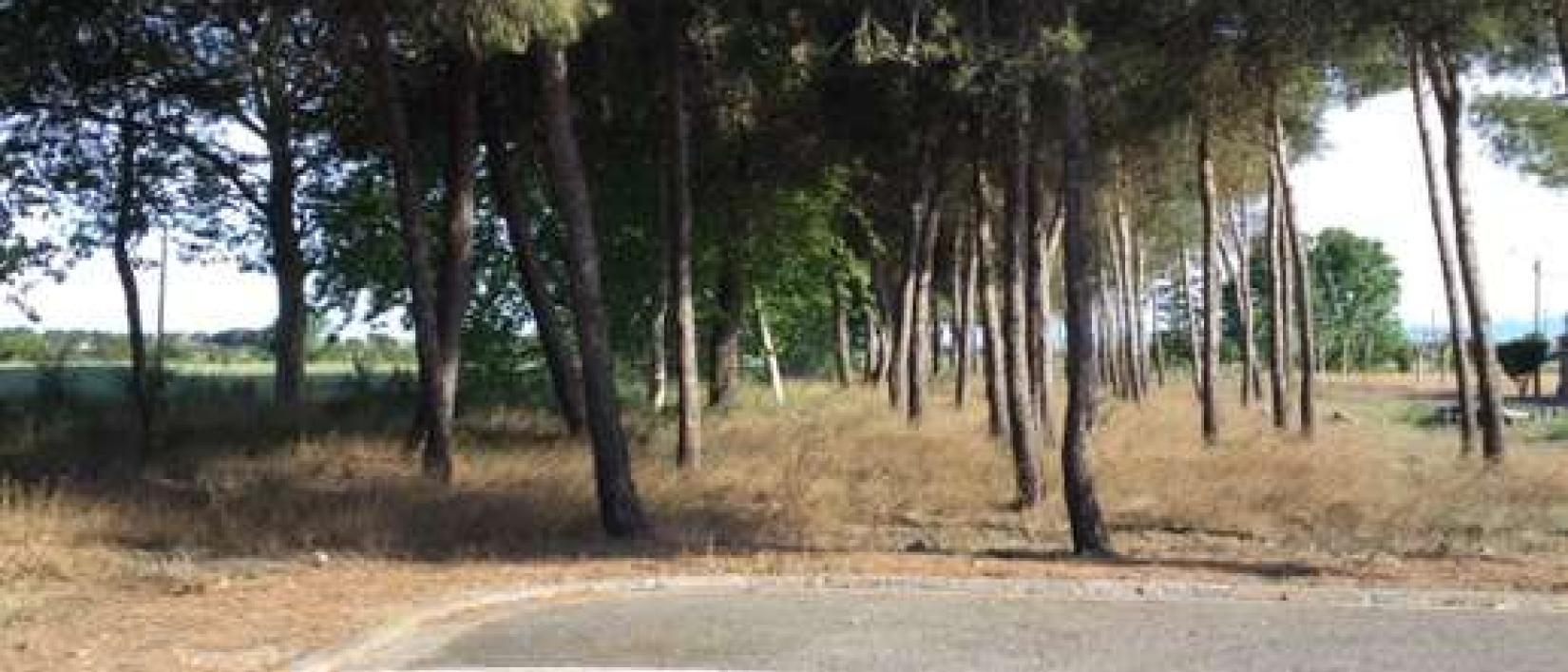Hoofdfoto Parking La Cartuja de Monegros