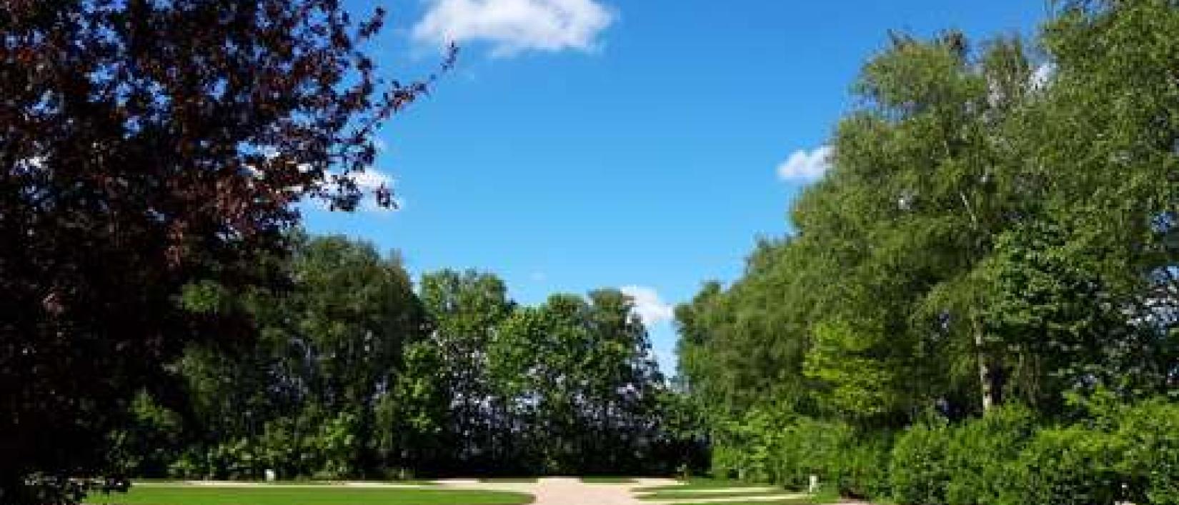 Hoofdfoto Camperpark De Berkenweide