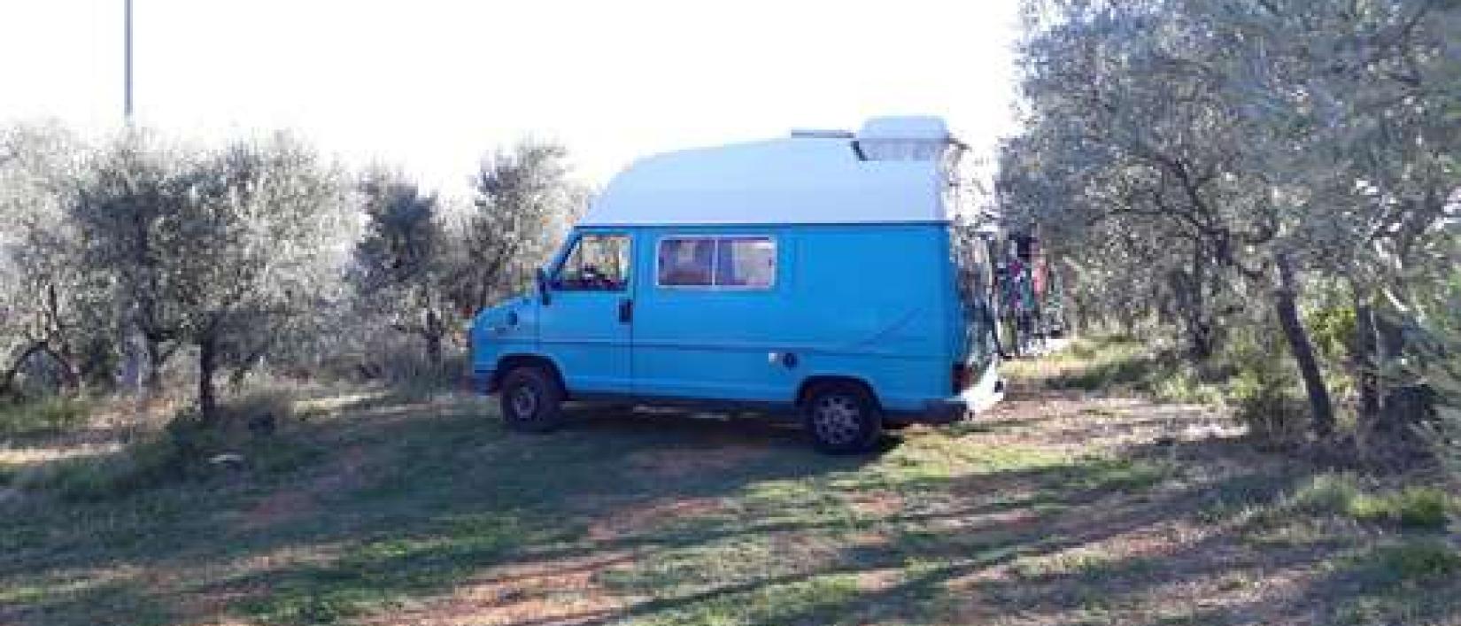 Hoofdfoto Azienda Agricola Il Cavallone
