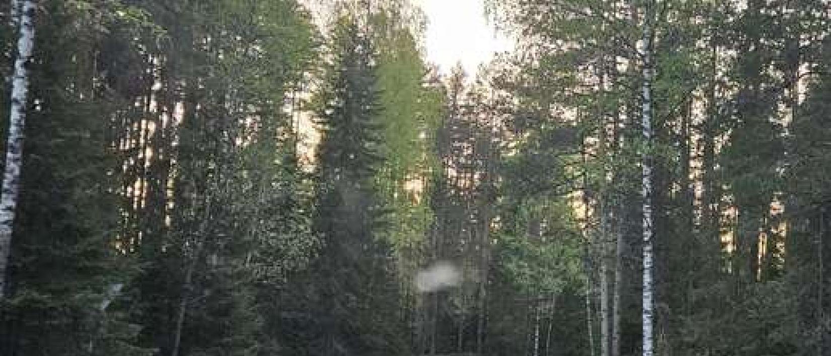 Hoofdfoto Kutalan Kasino, Kasala