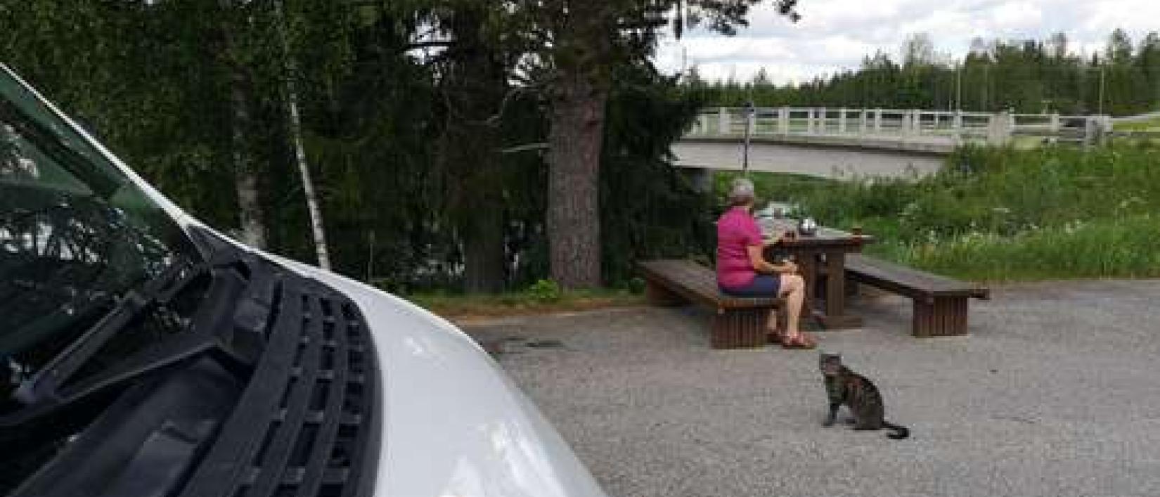 Hoofdfoto Männikön Silta