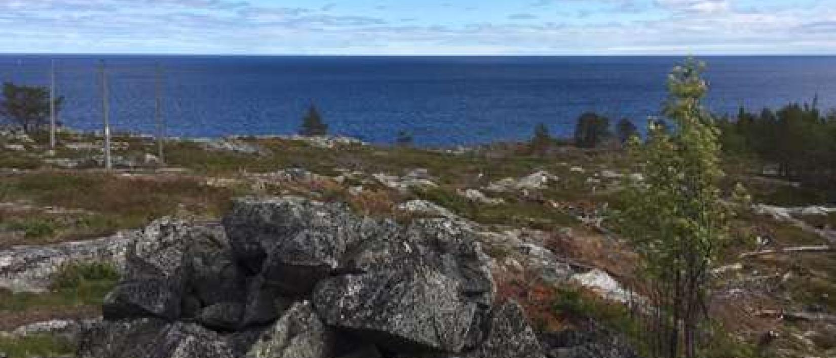 Hoofdfoto Bjuröklubb